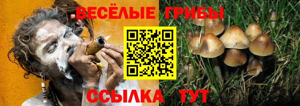 Миллерово  Псилоцибиновые грибы MAGIC MUSHROOMS  Вход с VPN 